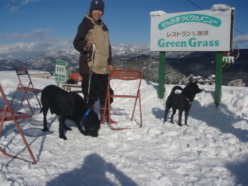 Green Grass Hakuba Exterior foto
